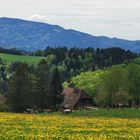 Pfingsten im Hochschwarzwald 