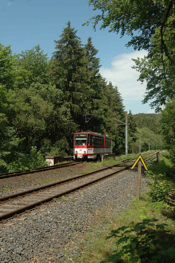 Pfingsten im Thüringer Wald