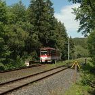 Pfingsten im Thüringer Wald