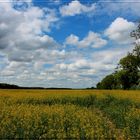 Pfingsten in Sachsen ...