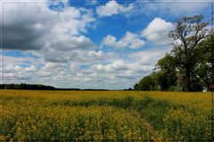 Pfingsten in Sachsen ...