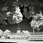 Pfingsten- Schlosspark Charlottenburg