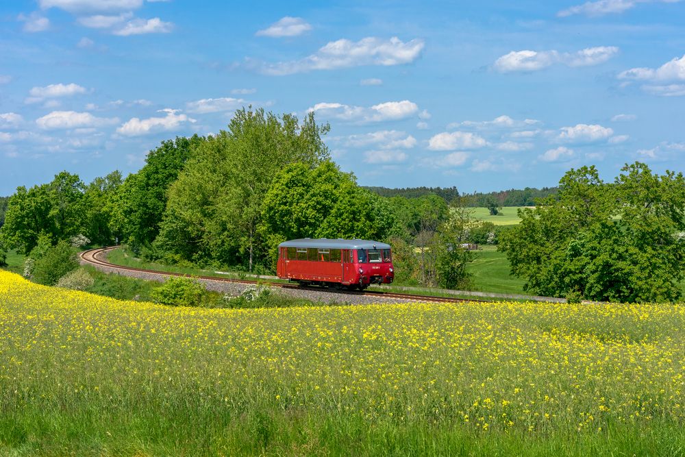 Pfingstferkel