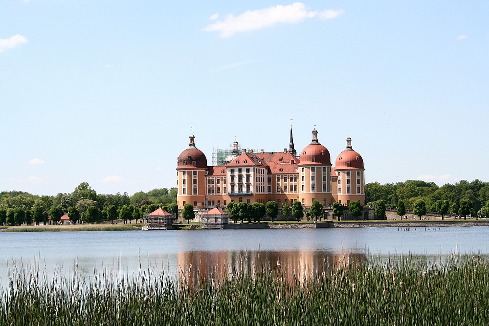 Pfingstimpressionen Moritzburg