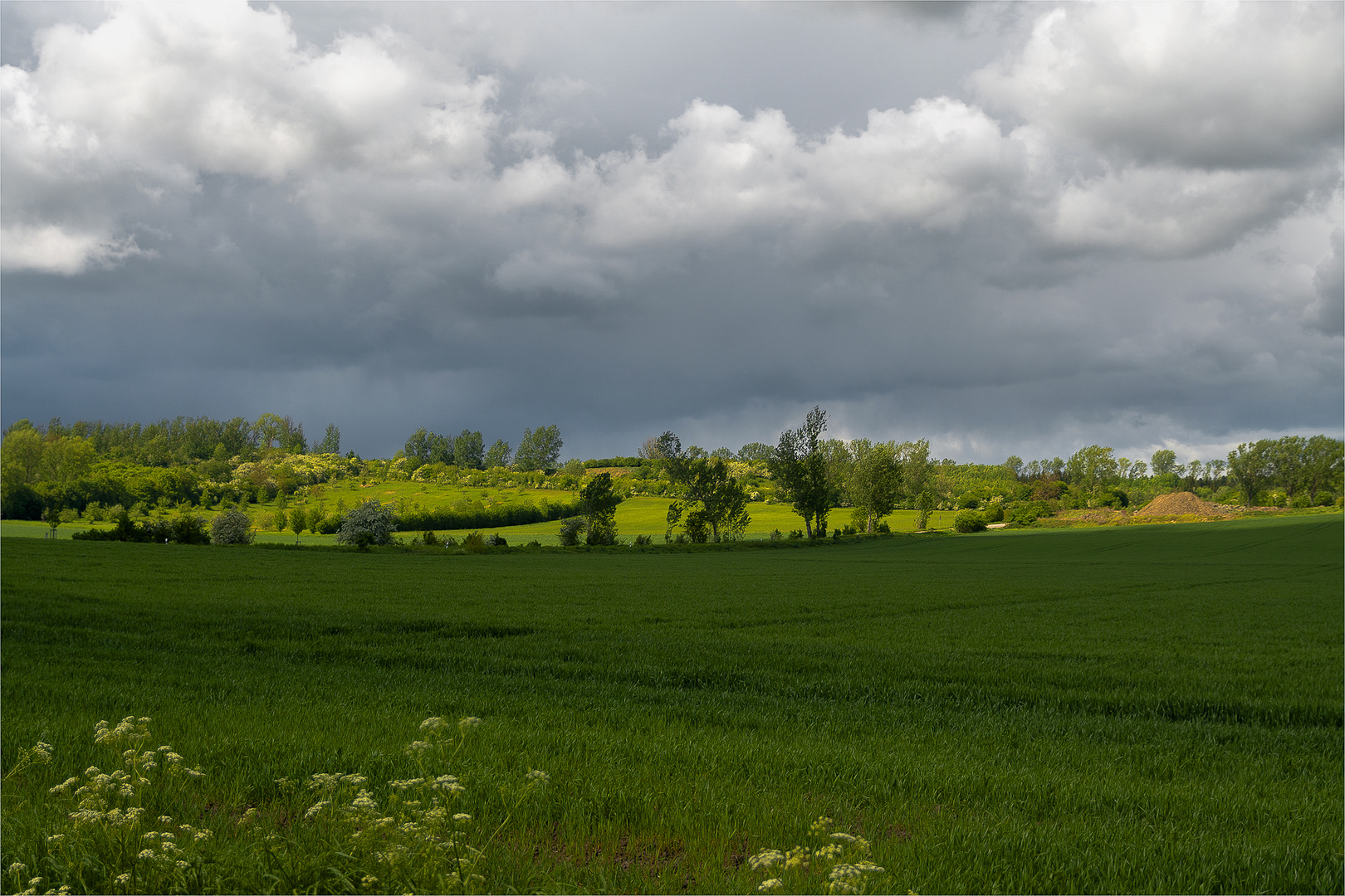 Pfingstrückblick