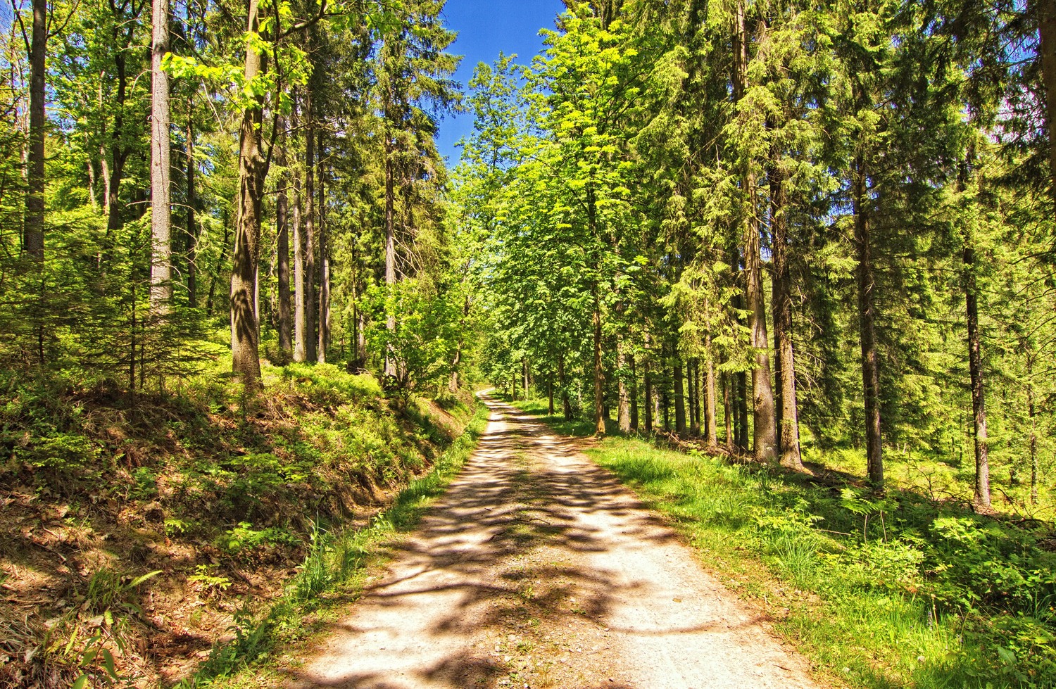 Pfingstsonntag im Quellental  