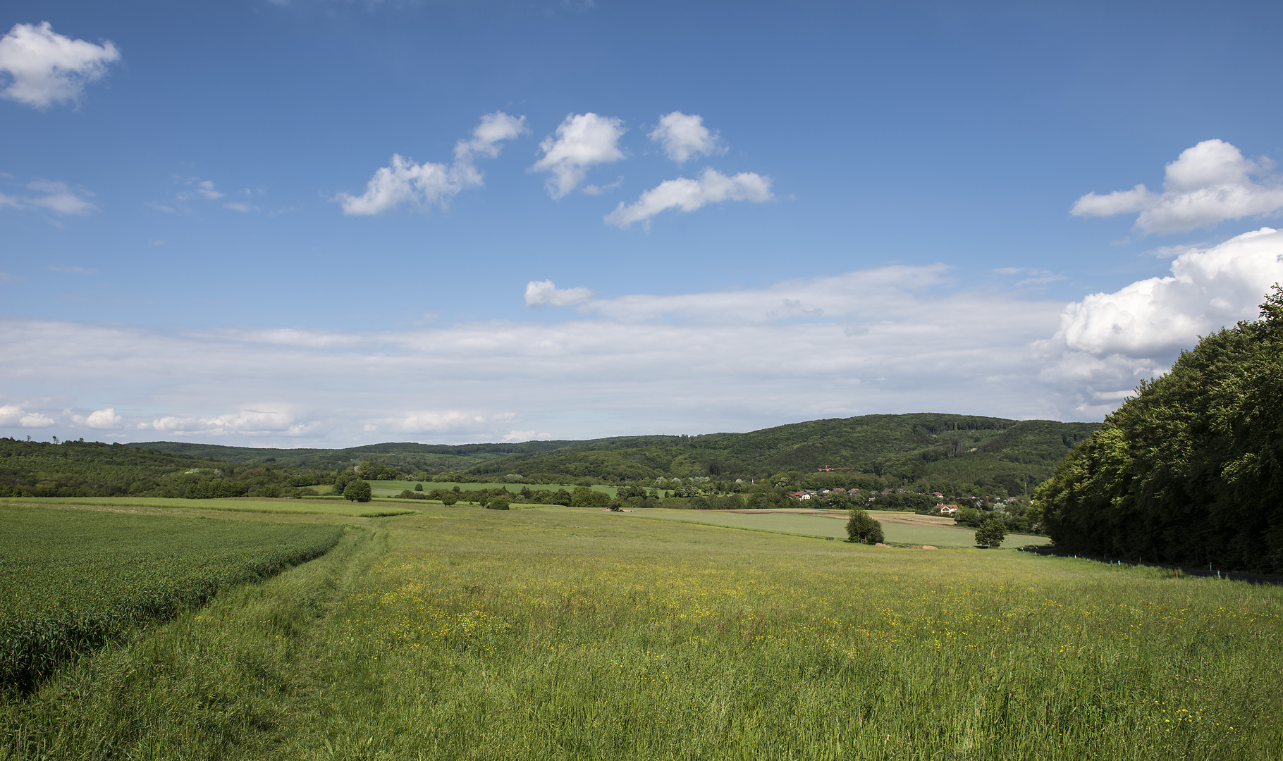 pfingstsonntag im wienerwald