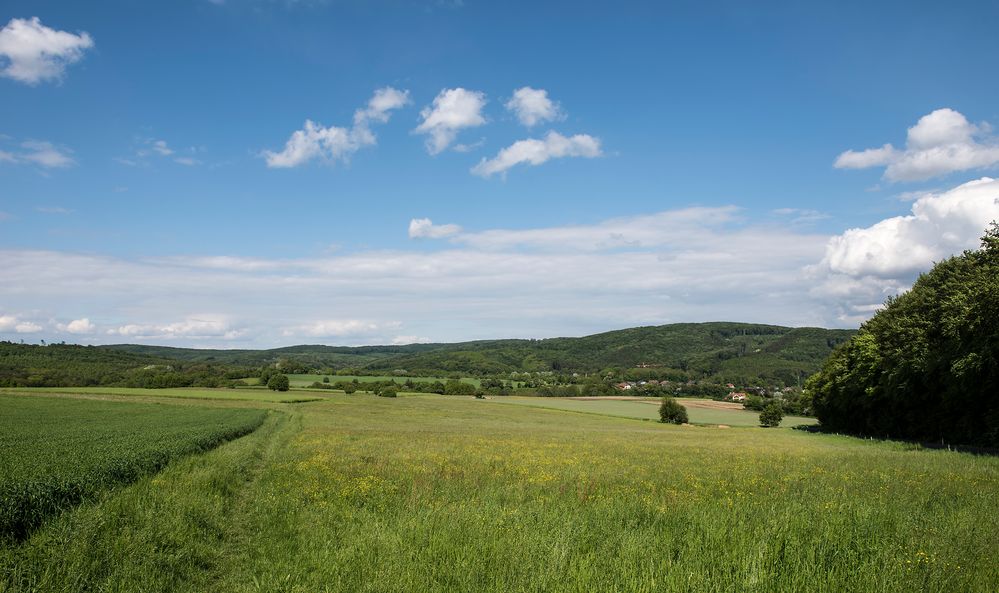 pfingstsonntag im wienerwald