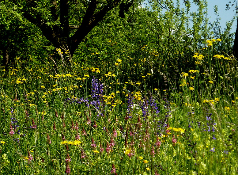 Pfingstspaziergang