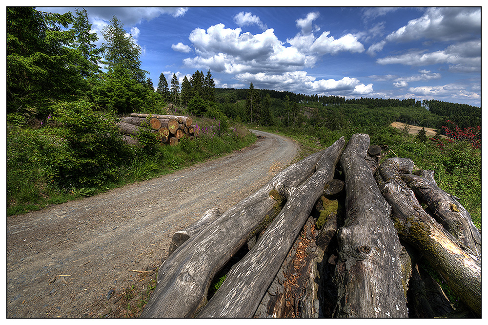 Pfingstspaziergang im Sauerland