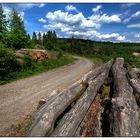 Pfingstspaziergang im Sauerland