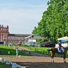 Pfingstturnier in Wiesbaden am Schlosspark