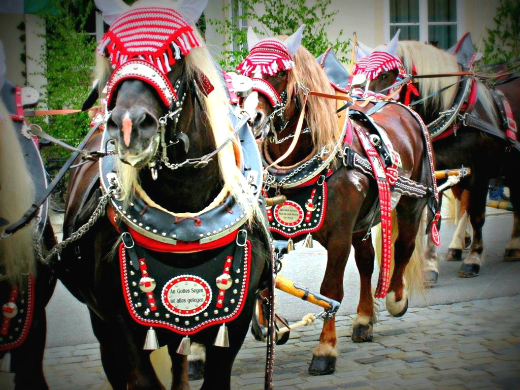 PFINGSTUMZUG IN BAD KÖTZTING