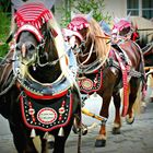 PFINGSTUMZUG IN BAD KÖTZTING