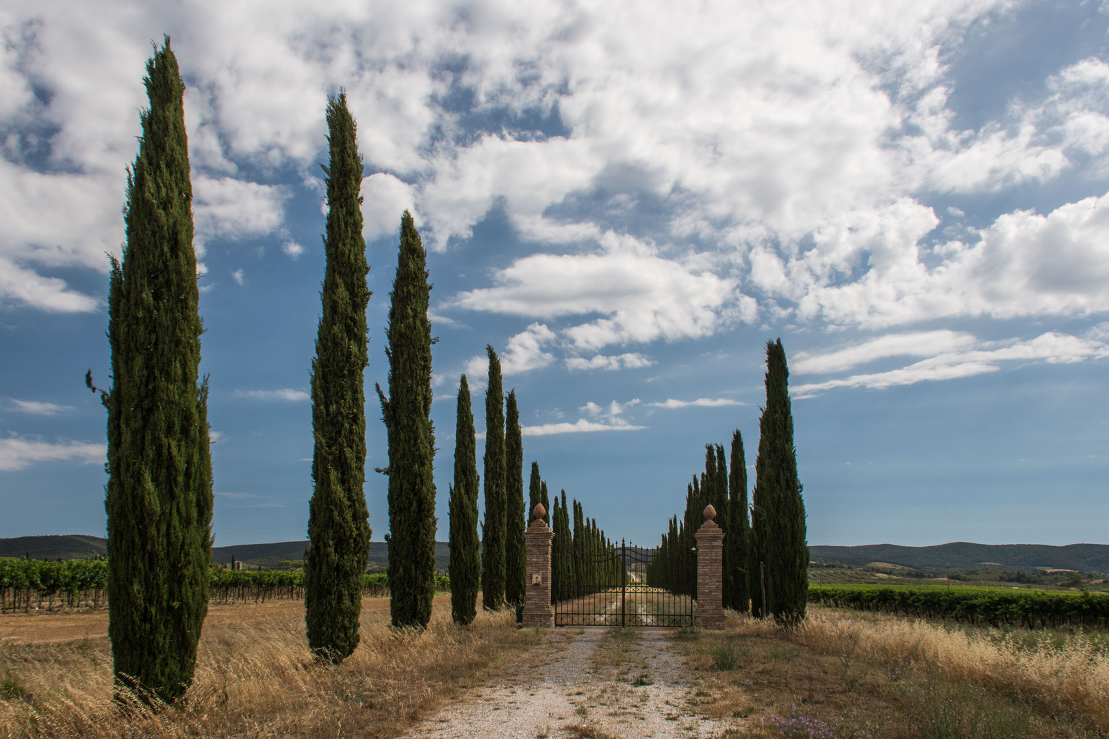 Pfingsturlaub in der Maremma und Umgebung