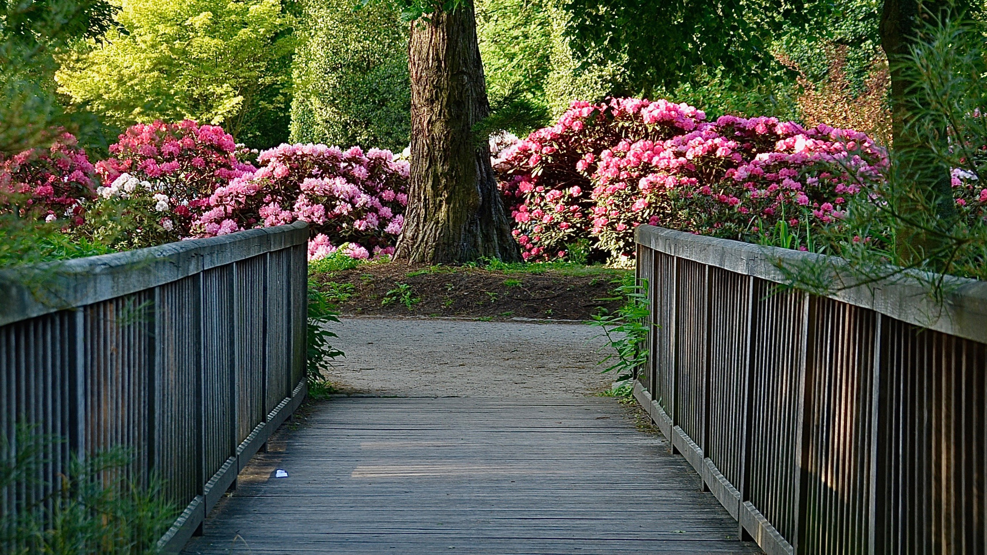 Pfingstvergnügen im Rhododendronpark