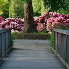 Pfingstvergnügen im Rhododendronpark