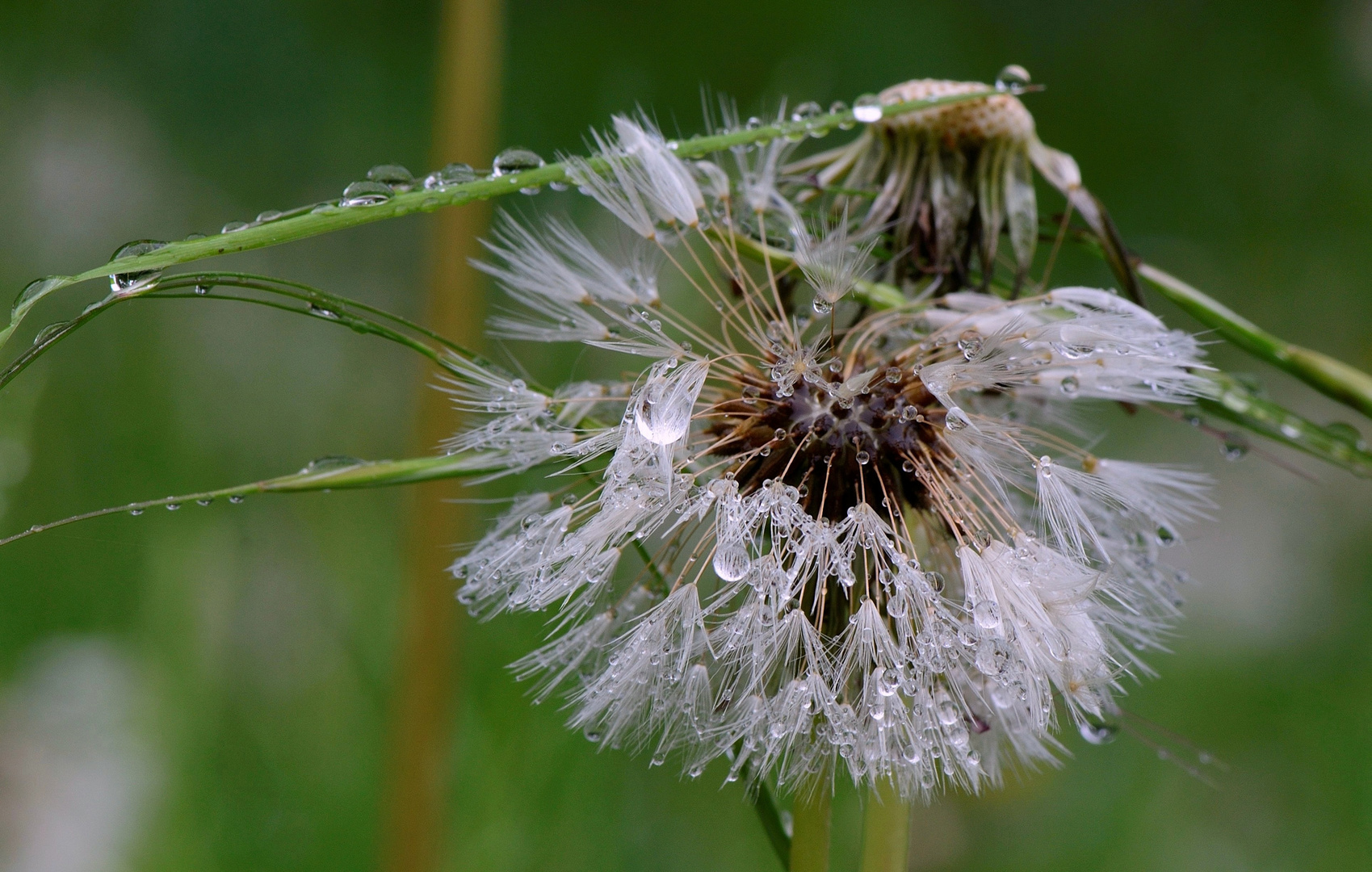 Pfingstwetter...