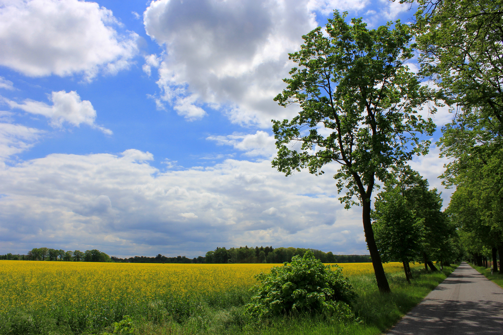 Pfingstwochenende in Sachsen