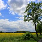 Pfingstwochenende in Sachsen