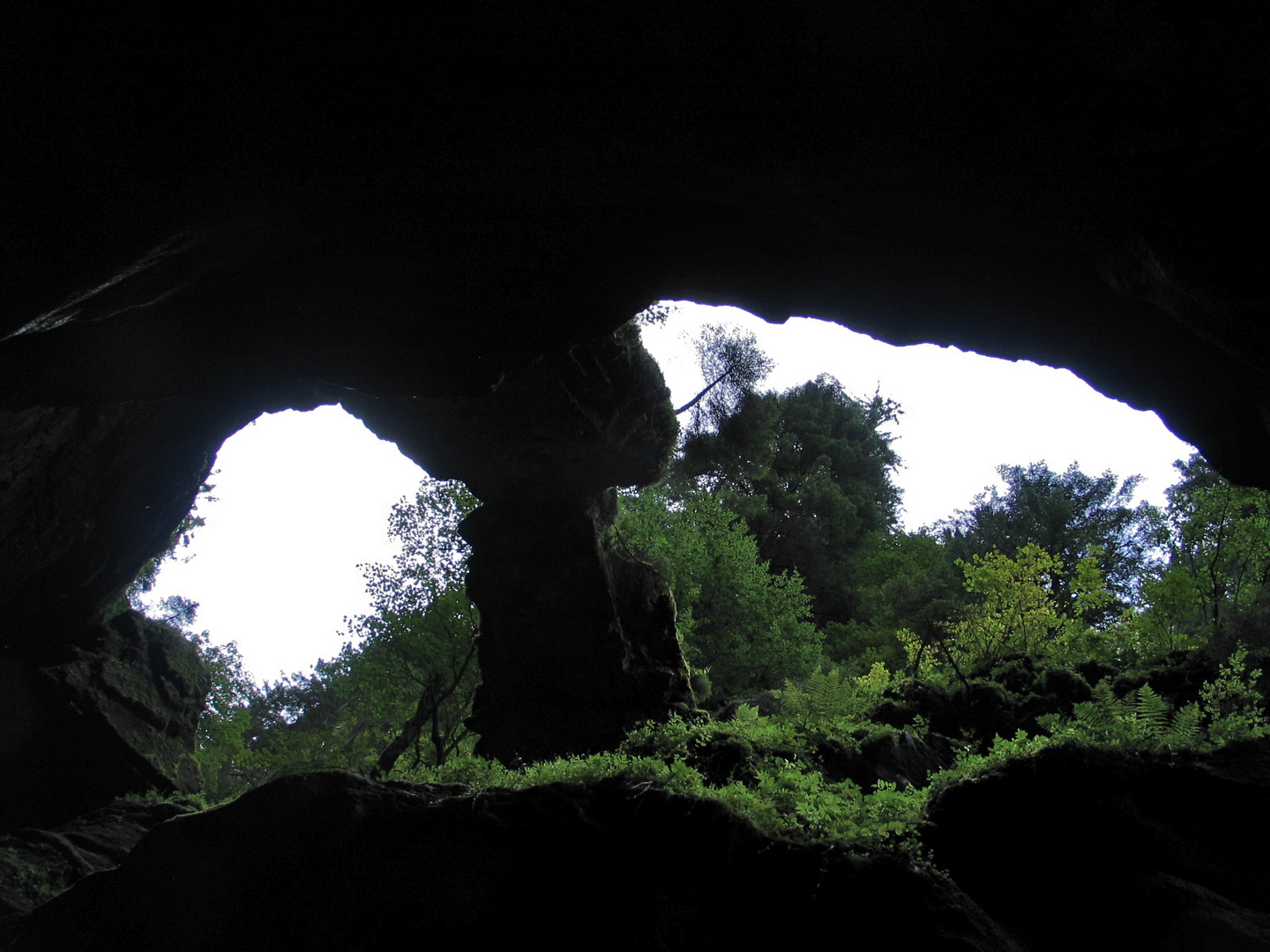 Pflanzen am Rand der Schlucht