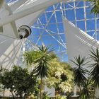 Pflanzen und Kugel-Verstrebung der Dach-Glaspyramide von 4. Etage