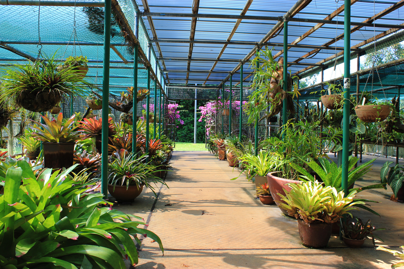 Pflanzenausstellungshaus im George Brown Darwin Botanic Gardens