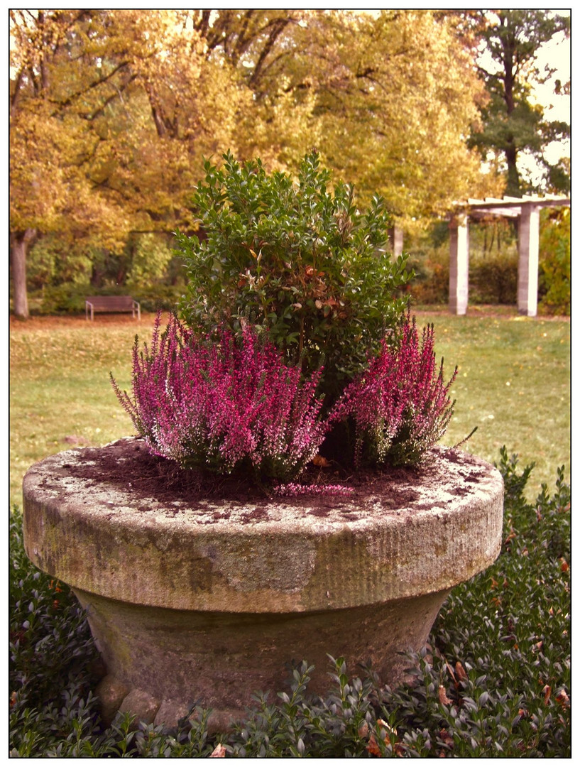 Pflanzenkübel im Park