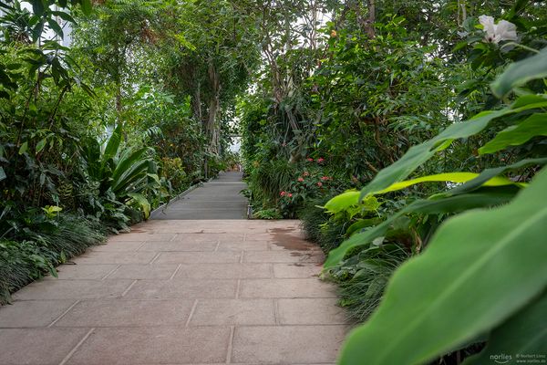 Pflanzenschauhaus Blick