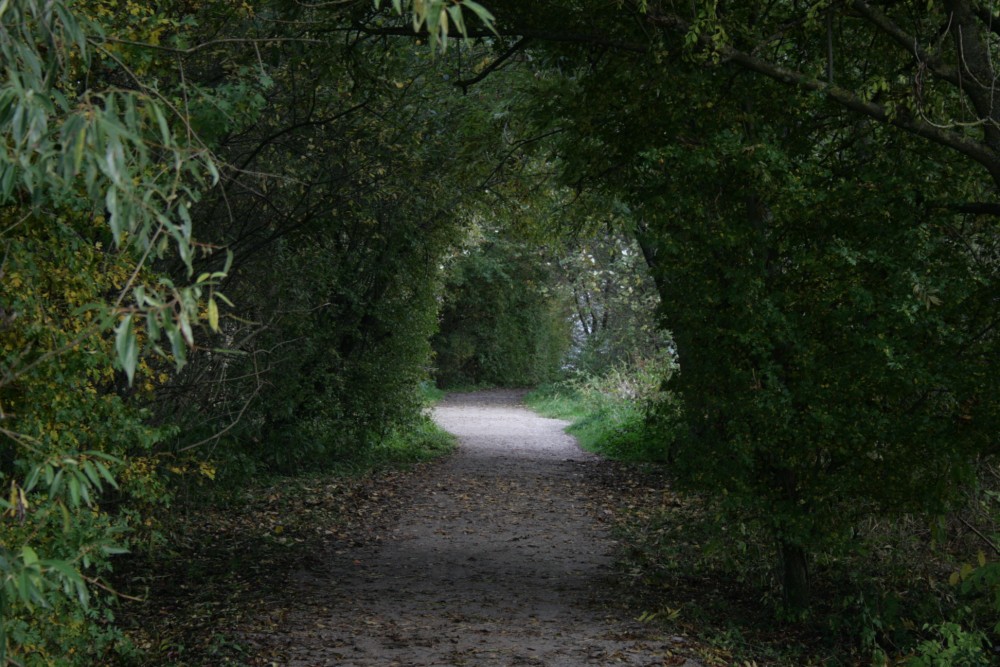 Pflanzentunnel