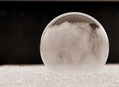 Pflanzliche Strukturen auf einer gefrorenen Seifenblase
