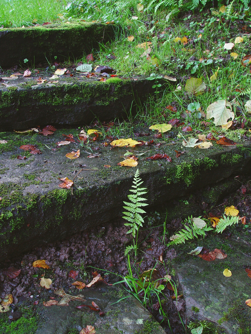 Pflanztreppe