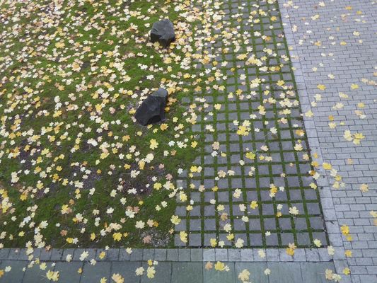 Pflaster mit Herbst-Deko....