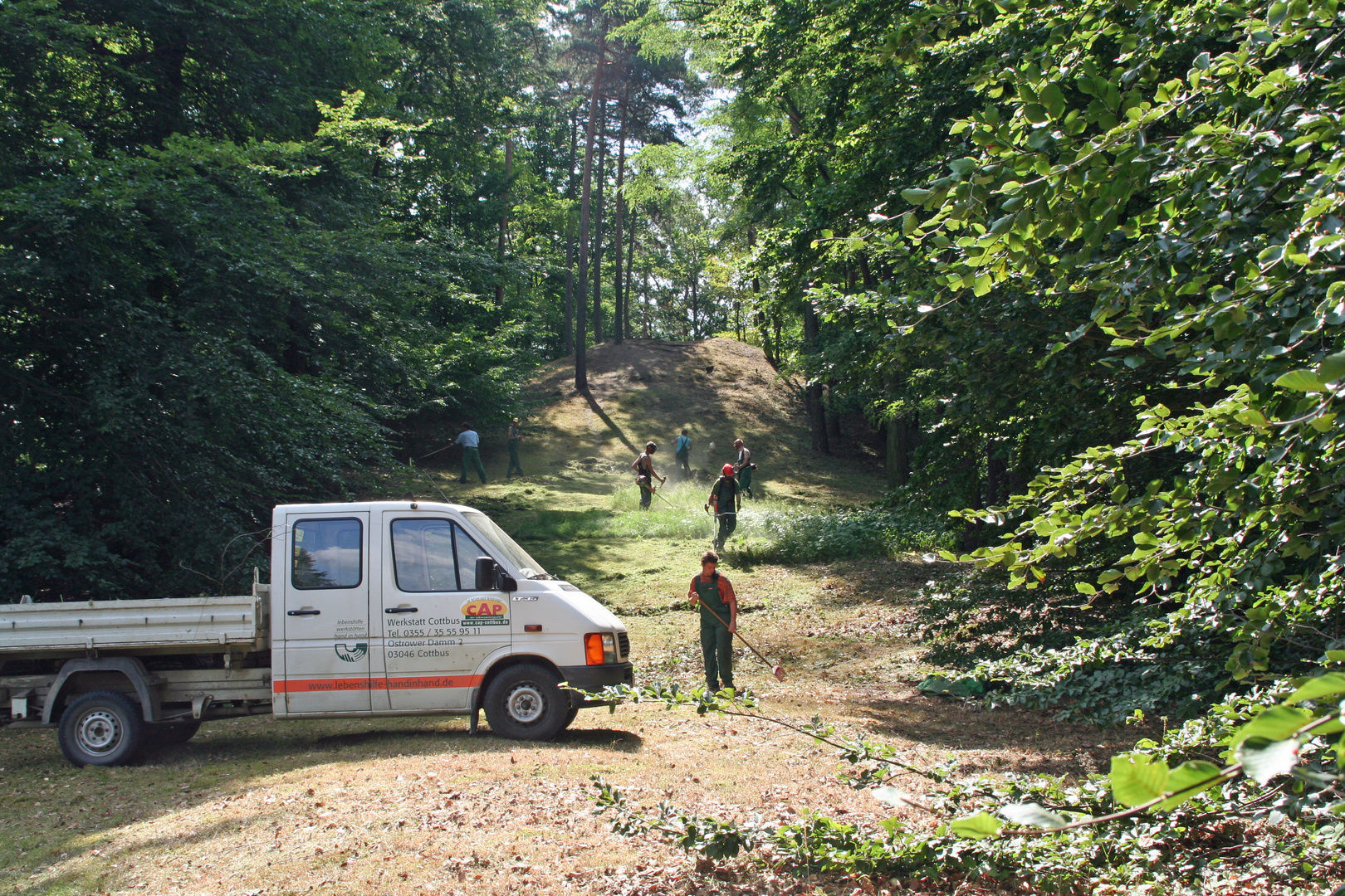 Pflegearbeiten am Hermannsberg des Branitzer Parkes