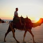 Pflichtprogramm am Cable Beach