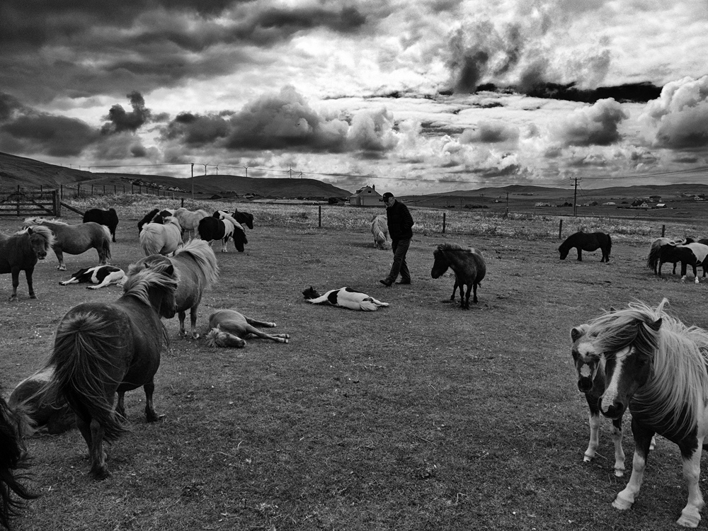 Pflichtprogramm auf den Shetland Inseln