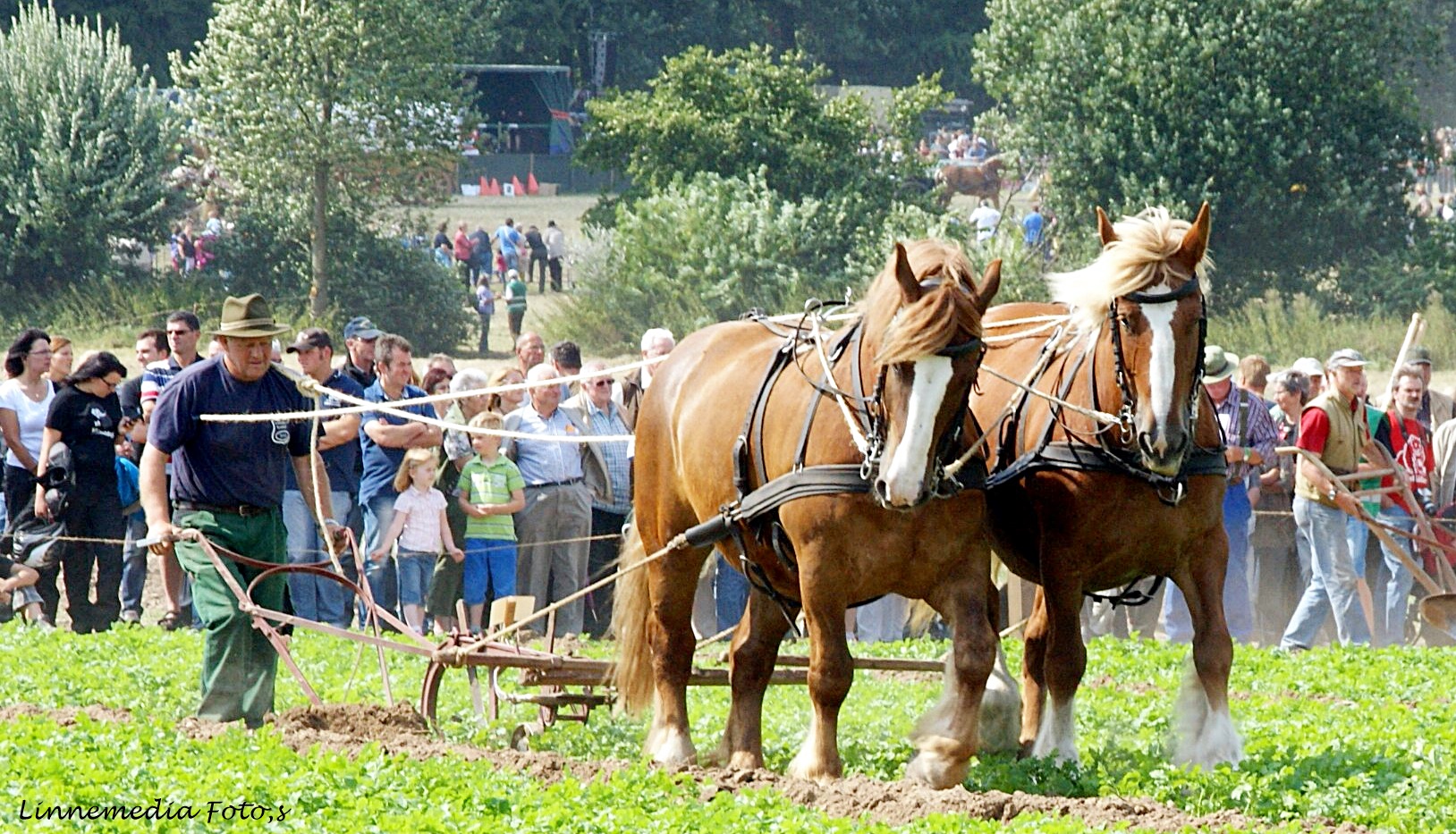 Pflügen   bei Pferdestark