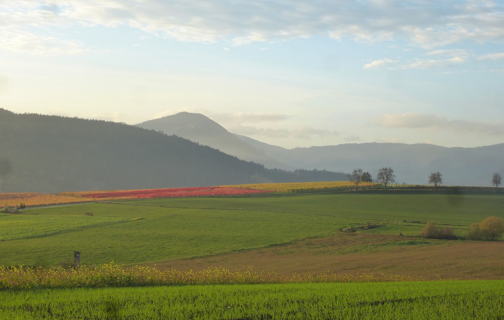 Pflügen, sähen, ernten