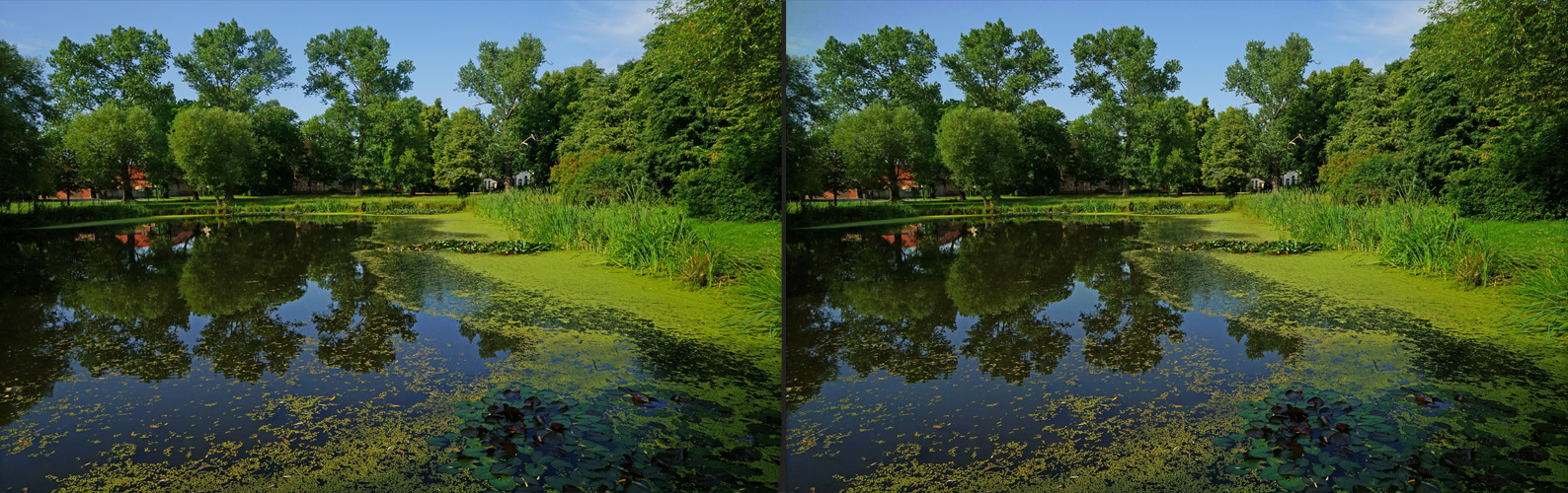 Pflupf-Tümpel in Heinsdorf  (Teltow-Fläming)       (3D-X-View)