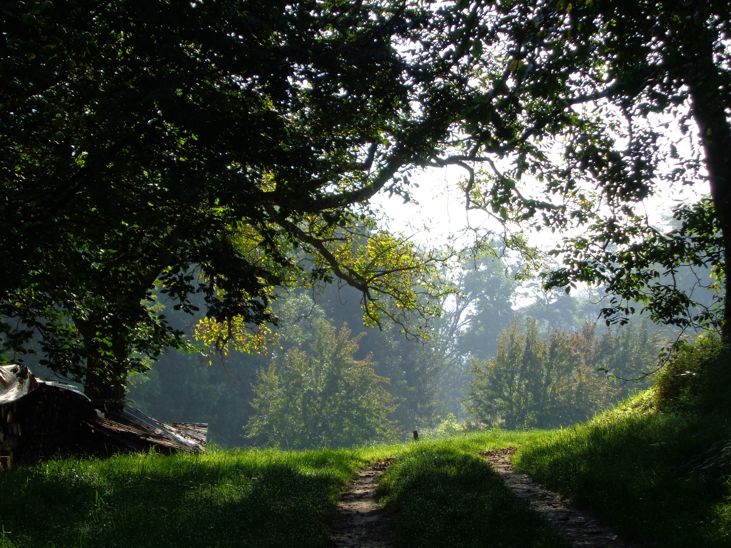 Pforte des Herbstes