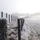 Pfosten im kalten Winter Wind