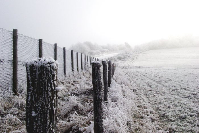 Pfosten im kalten Winter Wind