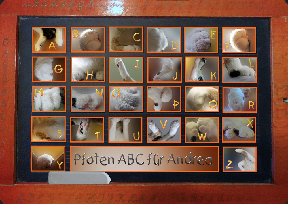 Pfoten ABC...