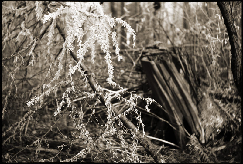 PFotograPHieren mit alten PHotoapparaten (4a)