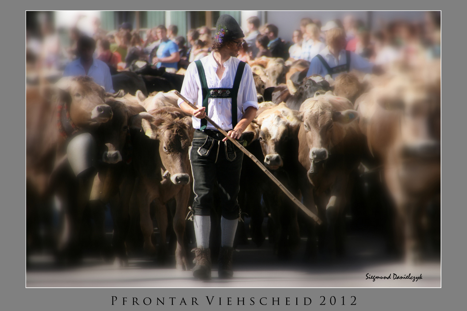 Pfrontar Viehscheid 2012