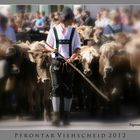 Pfrontar Viehscheid 2012