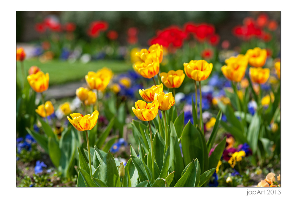 Pfrühling läßt sein puntes Pand..