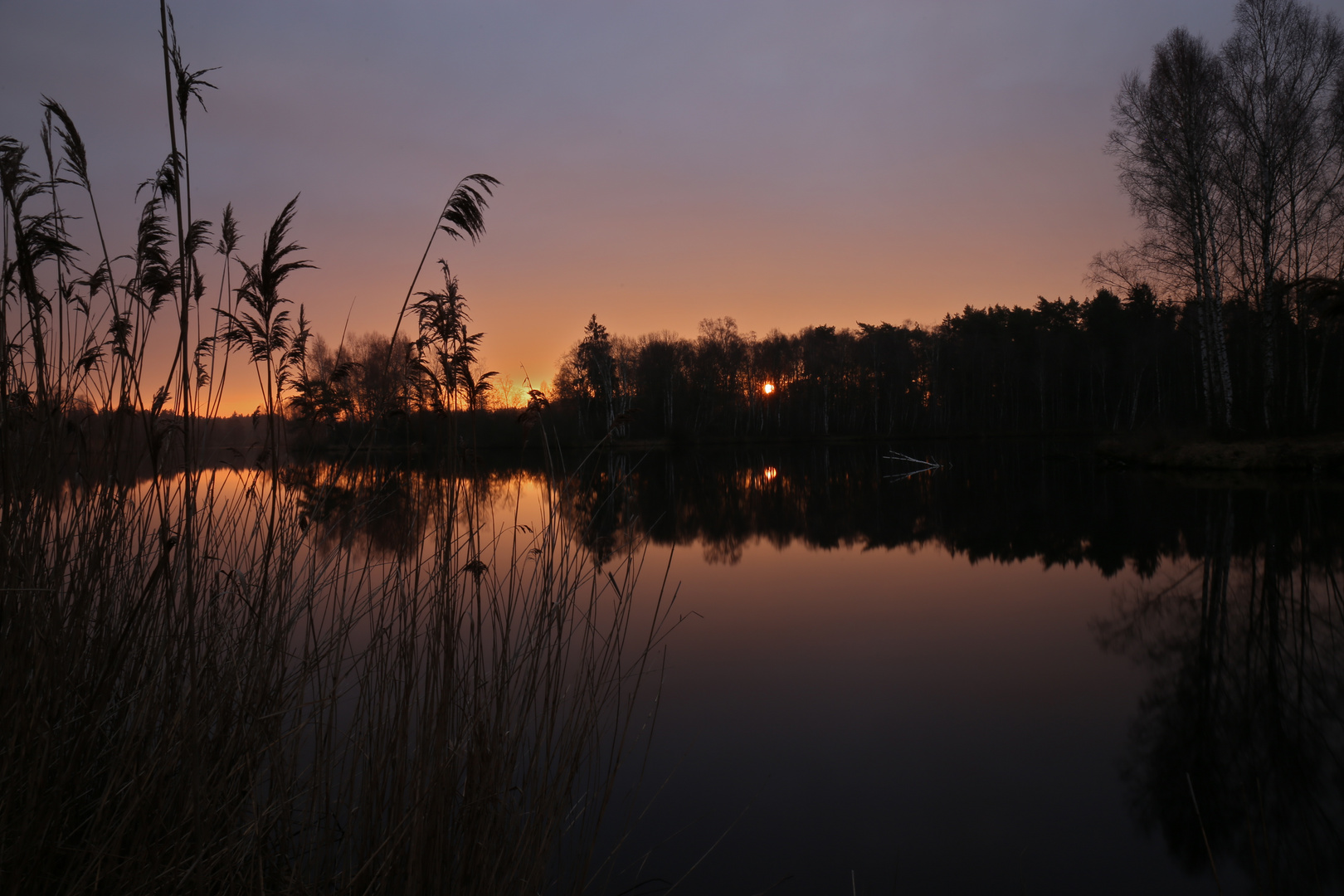 Pfrungener Ried bei Sonnenaufgang