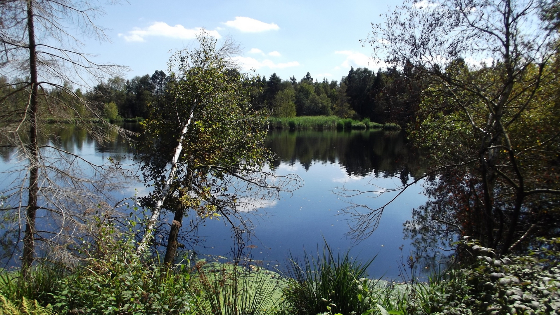 Pfrunger-Burgweiler Ried - Fünfeckweiher