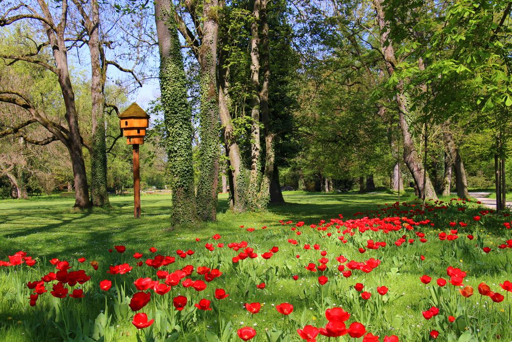 Pfühlpark im Frühling